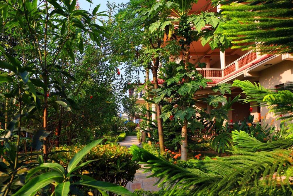 Hotel Royal Safari 奇旺 外观 照片