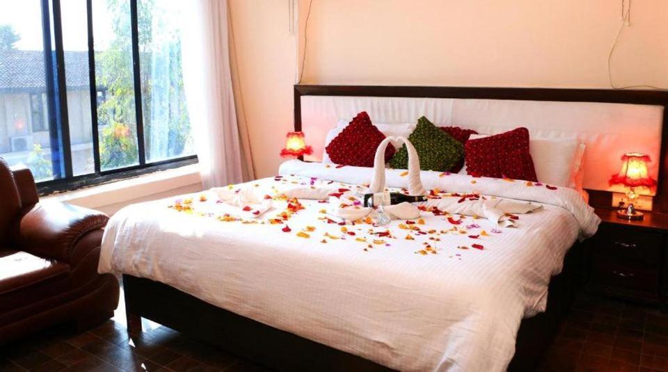 Hotel Royal Safari 奇旺 外观 照片